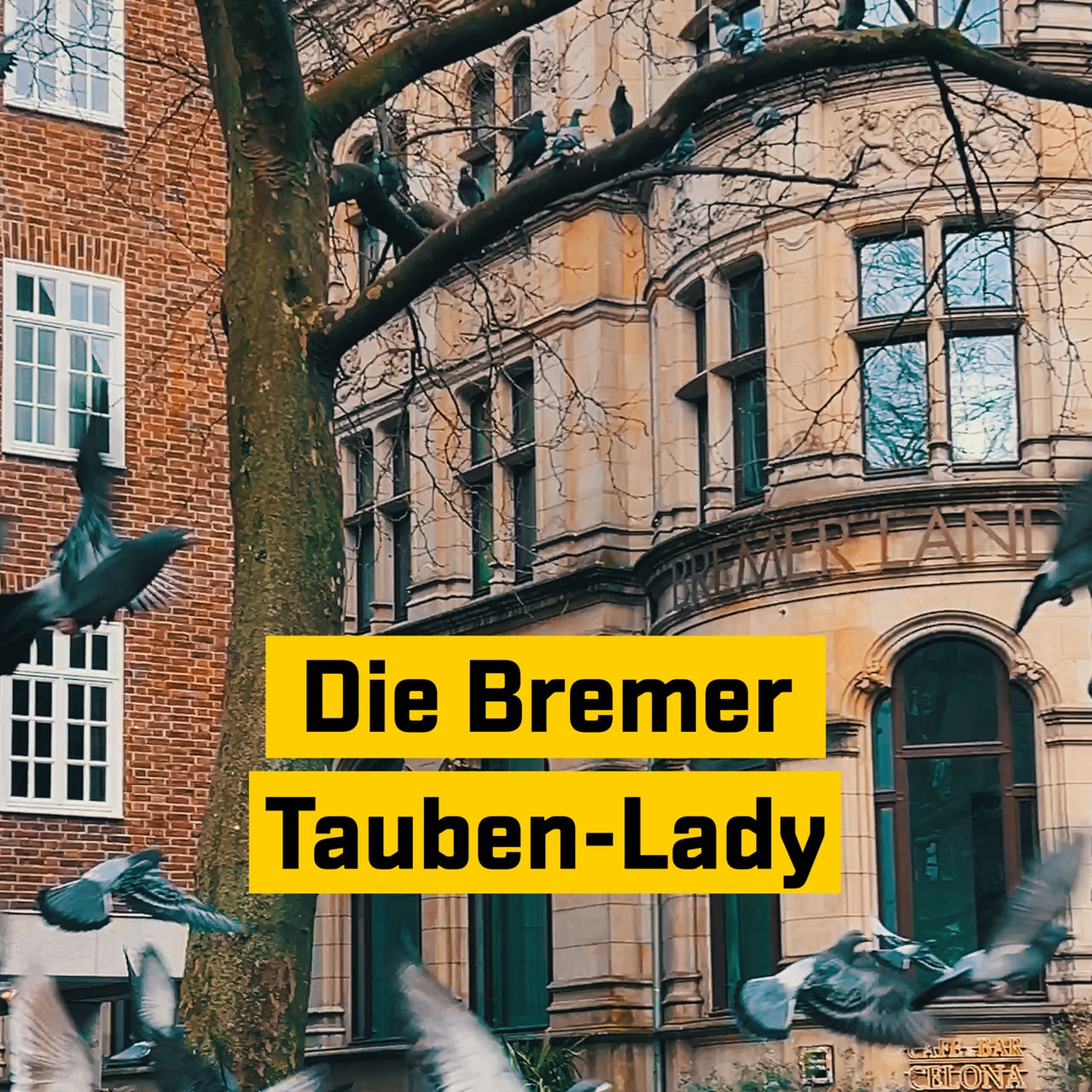 Bremerin füttert Tauben