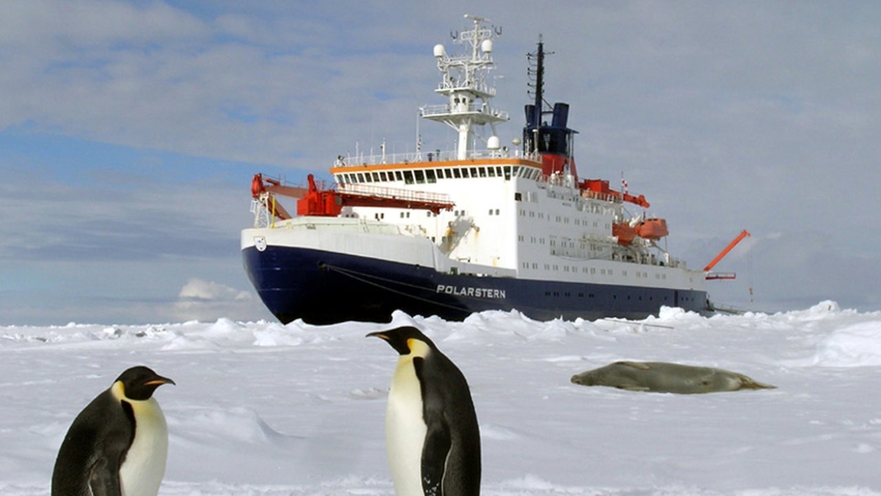 Der Forschungseisbrecher "Polarstern" des Alfred-Wegener-Instituts befindet sich in freundlicher Gesellschaft von Pinguinen im ewigen Eis der sommerlichen Antarktis (Archivbild)